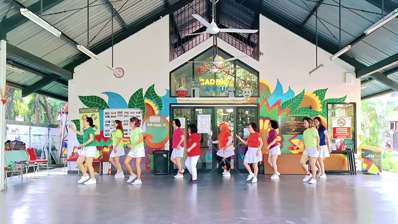I Got a Picture Line Dance| Choreo: Raymond Sarlemijn (NL) - February 2026| (Demo)