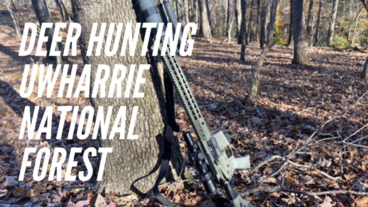 Uwharrie Deer Hunting Nov 2020 #deerhunting #Uwharrie #2AStrong