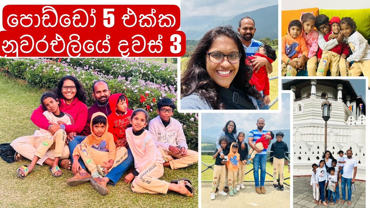 පොඩ්ඩෝ 5 එක්ක නුවරඑලියේ දවස් 3 |. යන්න පුලුවන් තැන් වගේම බජට් එකේ නිදහසේ ඉන්න පුලුවන් තැනක්