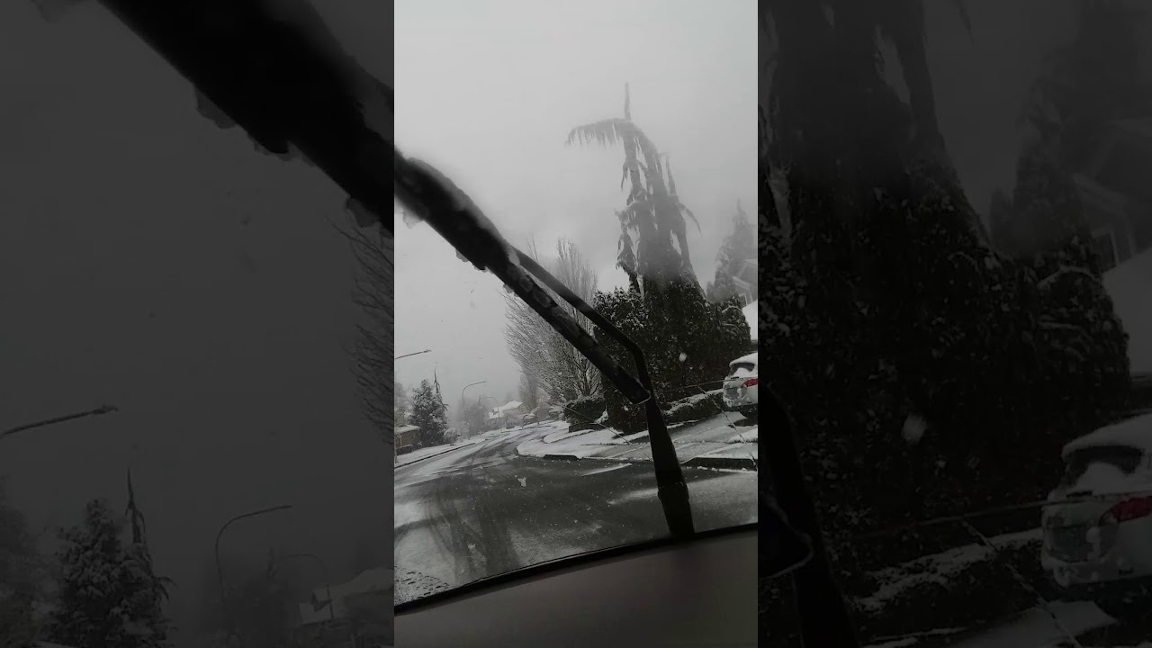 Snow in America