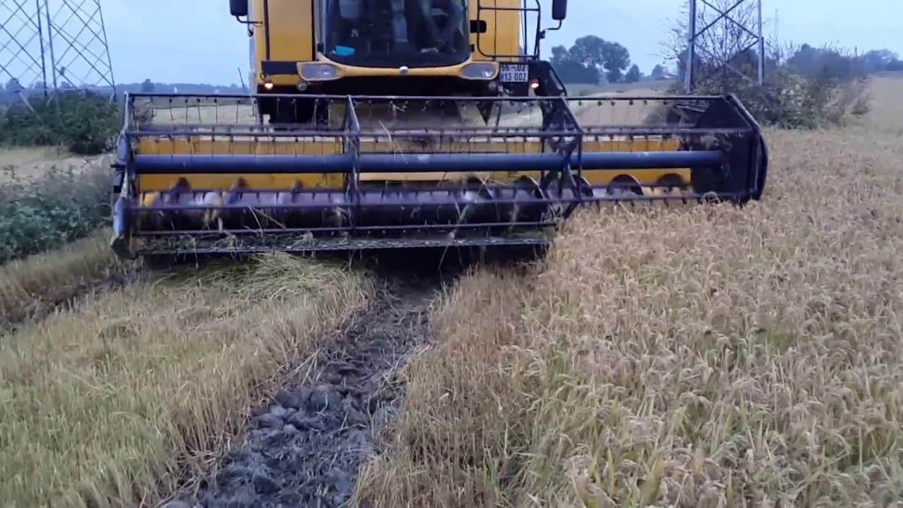 New Holland CS 6050 RİCE