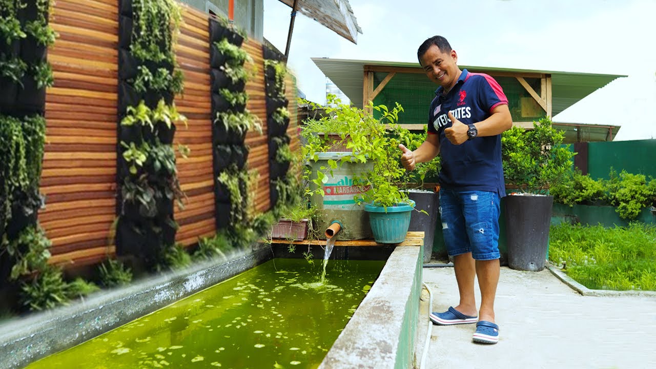 DIY POND FILTRATION SYSTEM using Recycled Materials! Building Another Pond for our Koi fish