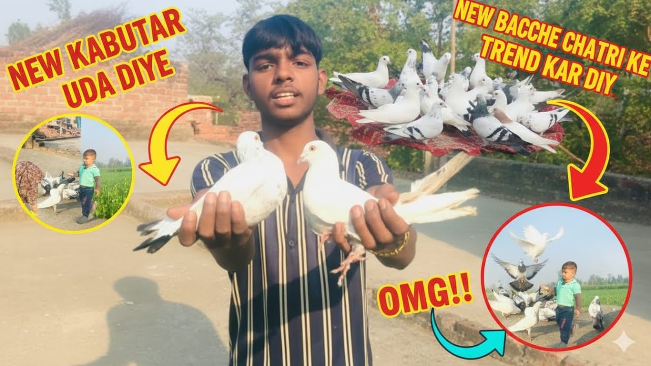 OMG😱Etne Kabutar kaha se agaye | New Bacche trend kar diye | aaye liya hee😱🥰