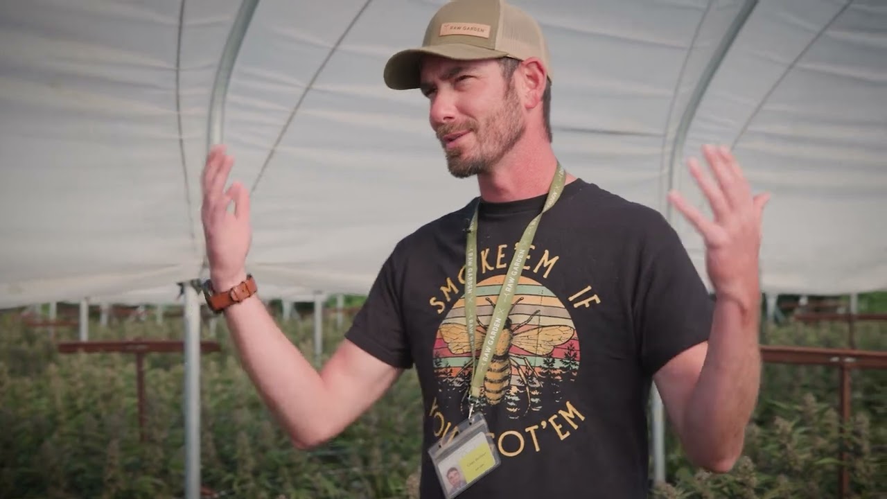 Strain Spotlight: Tropicana Cherry