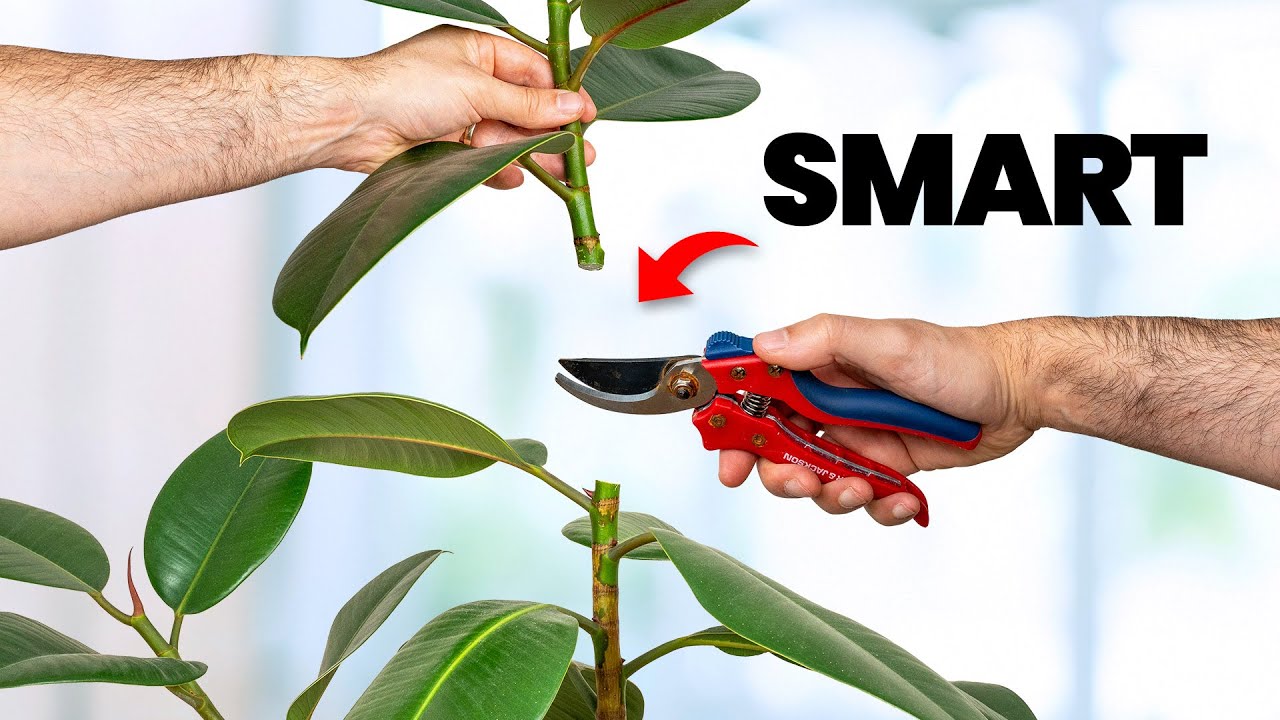 The Clever Reason Smart Gardeners Chop Their Plants
