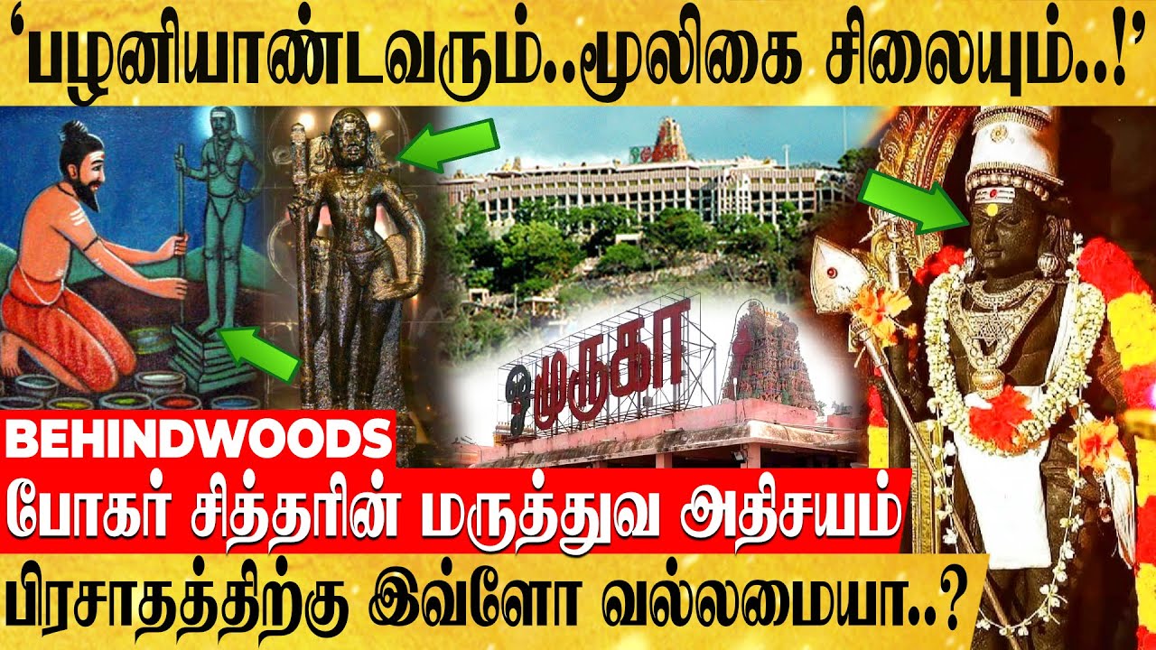' பழனி முருகரும்..மூலிகை சிலையும்..!'சாகாவரம் கொண்ட சித்தரின் மர்ம குணம்..வியக்கவைக்கும் பின்னணி