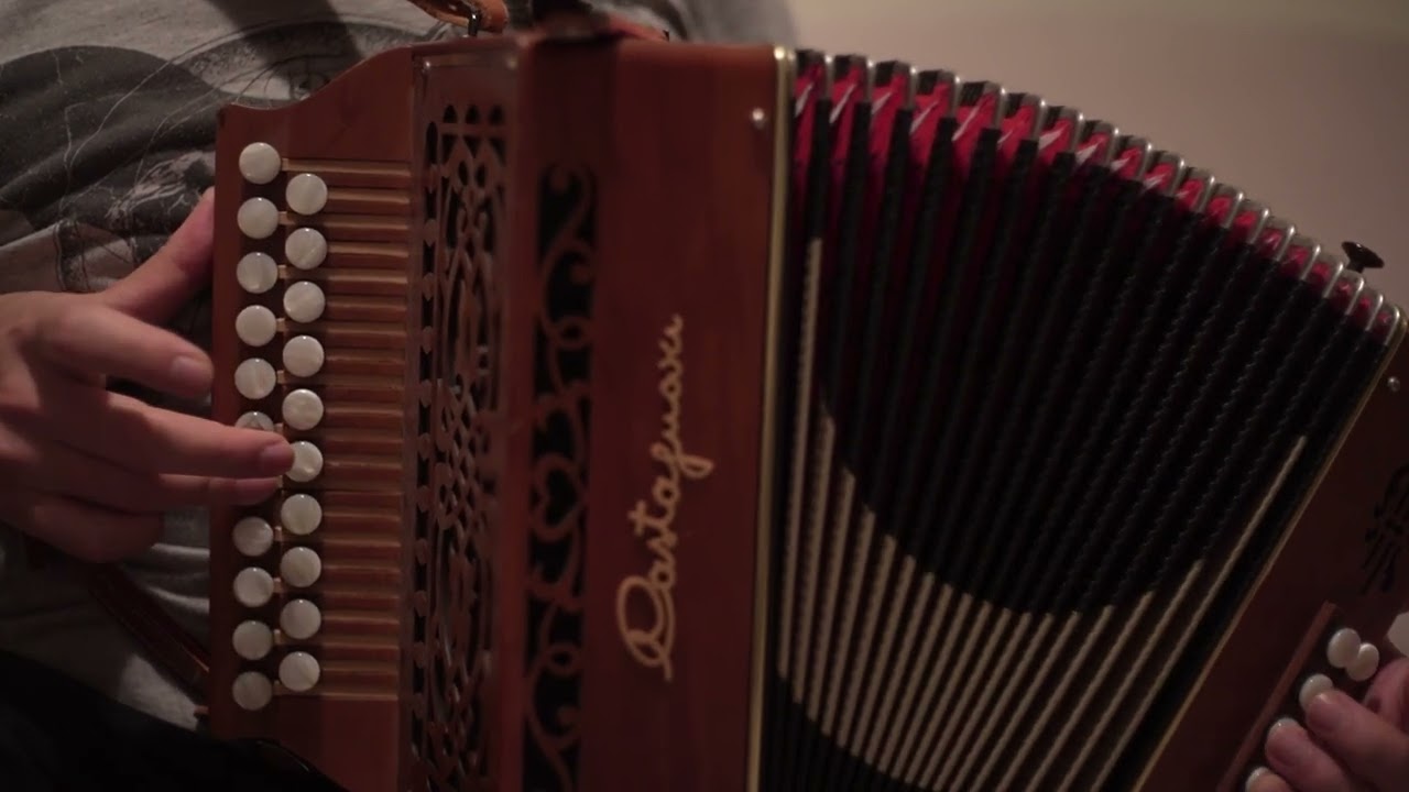 Les amitiés (Stéphane Delicq)