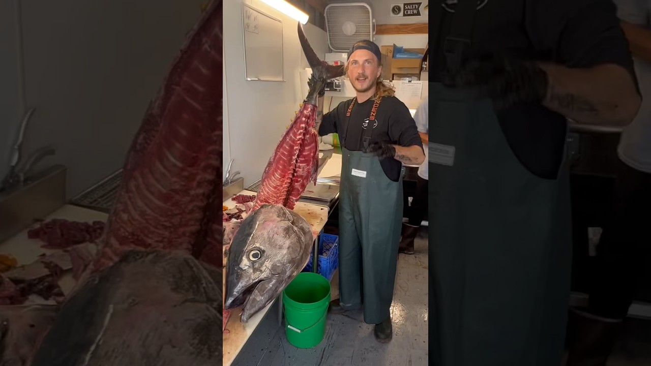 FIRST Bluefin Tuna I’ve ever cleaned was 175lbs! 