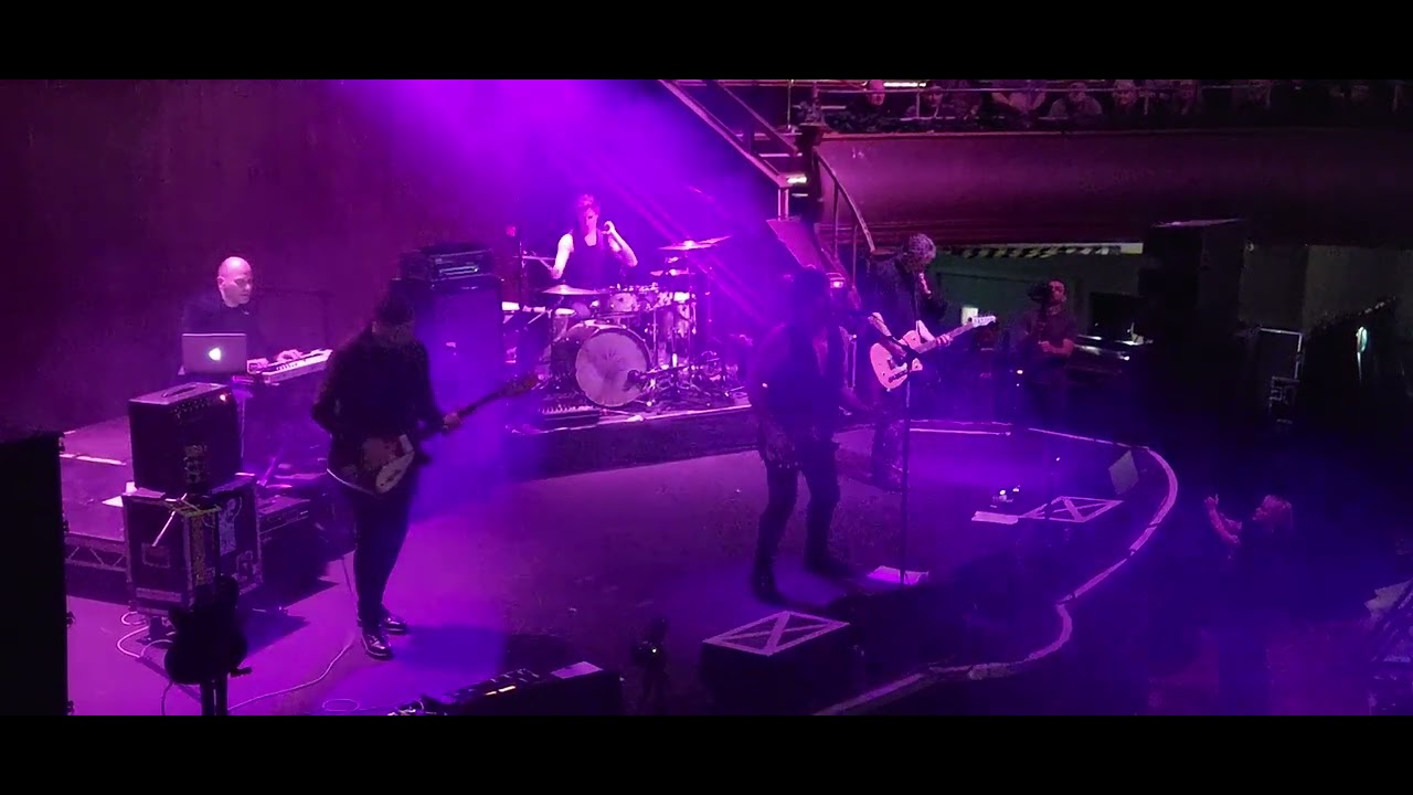 THE CHAMELEONS  - SWAMP THING - ALBERT HALL