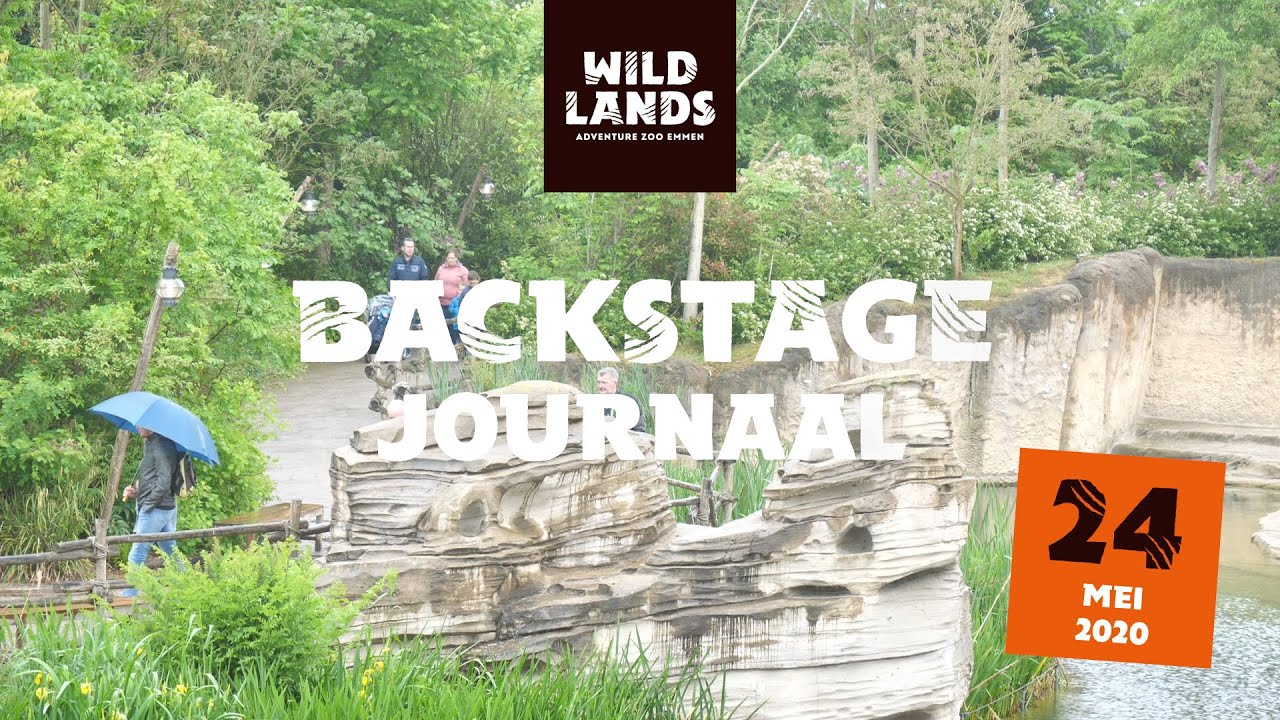 WILDLANDS Backstage Journaal 24 mei 2020