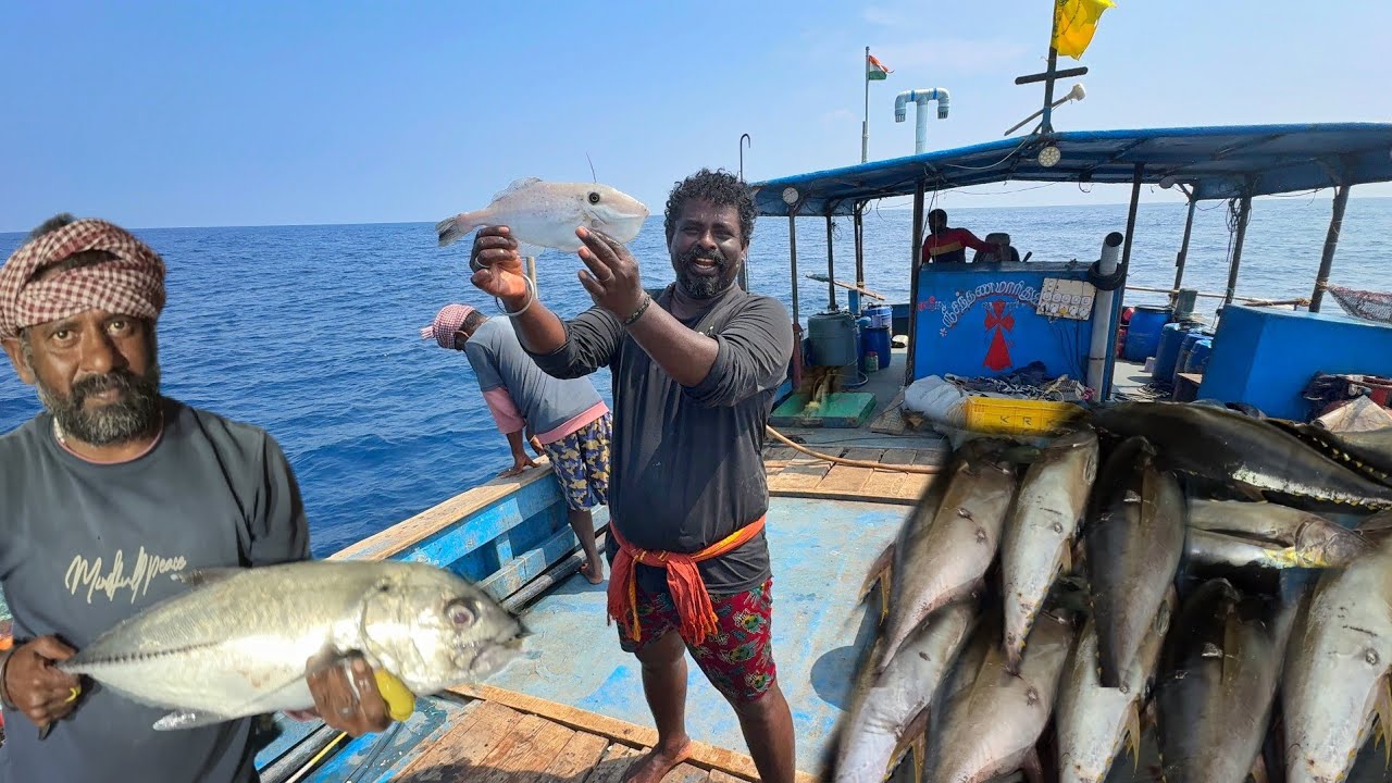 OMG 😱 Third Day Gift Day 💢❗ We Caught Huge Size yellow Fin Tuna Fishes in Deep Sea Fishing