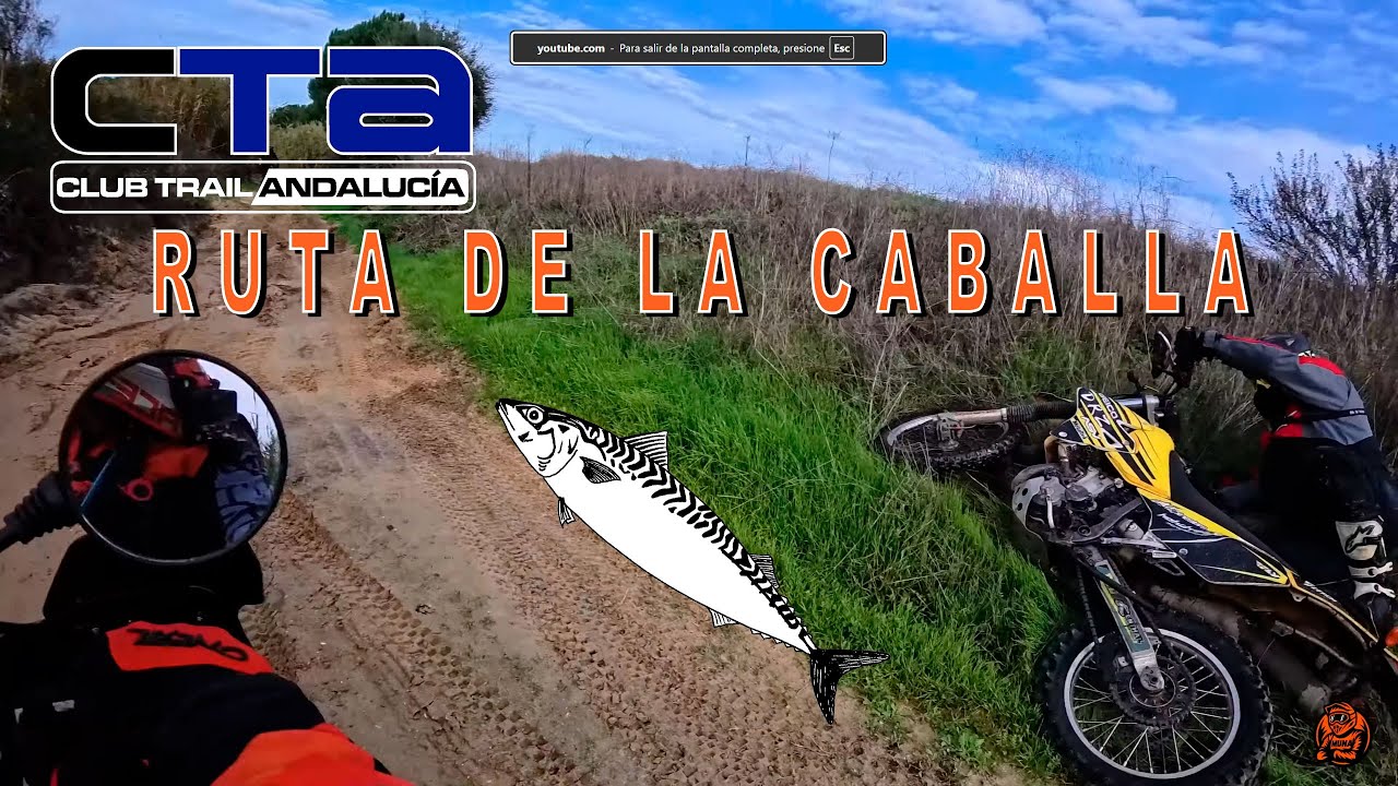 ¡SOCORRO! Rescate en el barrizal ( KTM 525 vs DRZ 400)