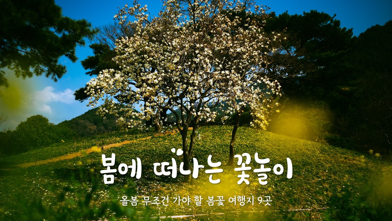 1년을 기다린 봄! 올봄 꼭 가야 할 봄꽃 여행지 9곳