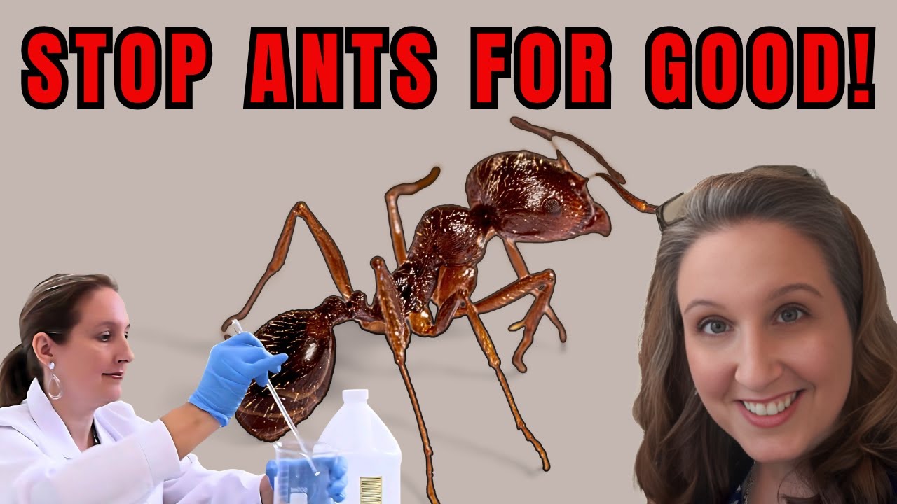 DIY Natural Ant Bait: Effortlessly Eliminate Ants with This Powerful Homemade Recipe!