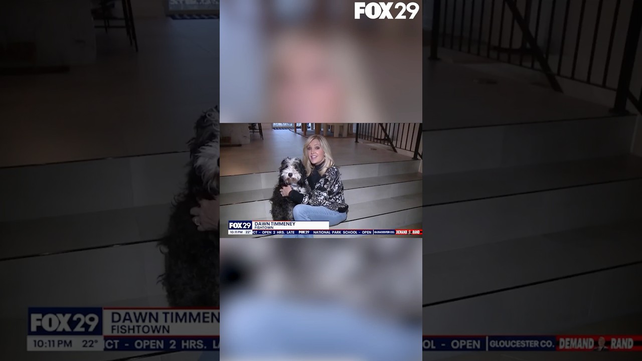 A dog named Benji has safely returned to his home after escaping during this weekend's snowstorm.