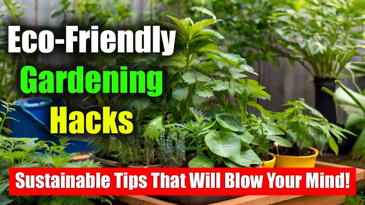 Eco-Friendly Gardening Hacks: Sustainable Tips That Will Blow Your Mind!