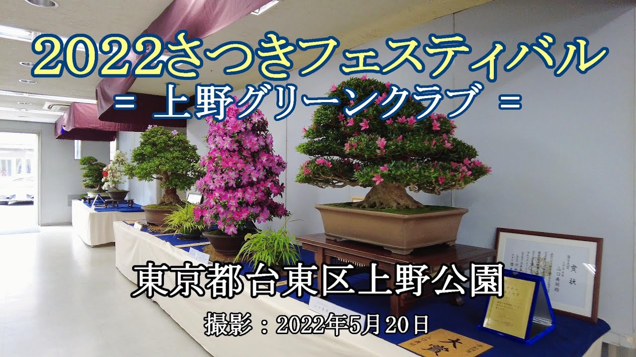 ２０２２ さつきフェスティバル = 上野グリーンクラブ = [4K] 2022 Satsuki (Azalea) Festival = Ueno Green Club =