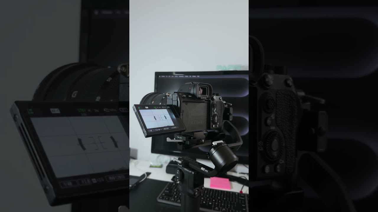 DJI RS3 Mini on Sony a7SIII 