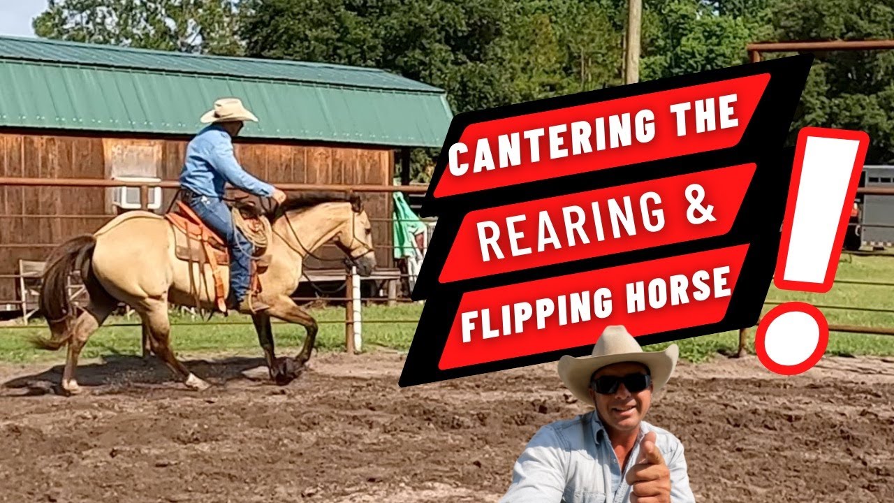 Pear Tree Ranchin 033: Problem Horse, Riding a horse that rears and flips over at a canter,