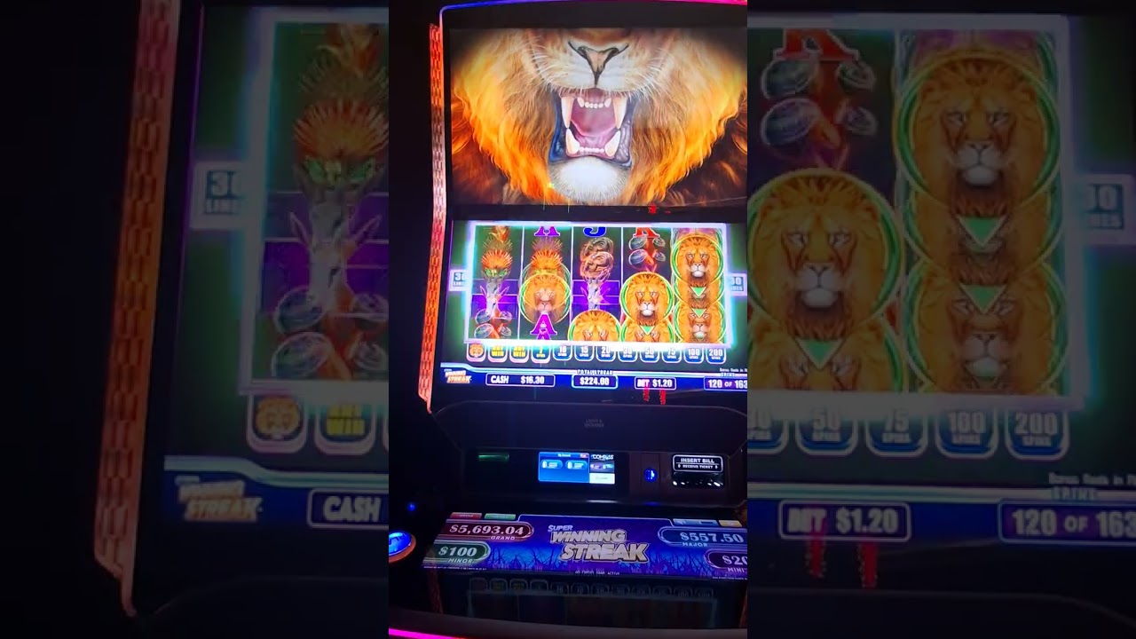 🎰 Impresionante 🦁 195 Free Spins en el Bonus