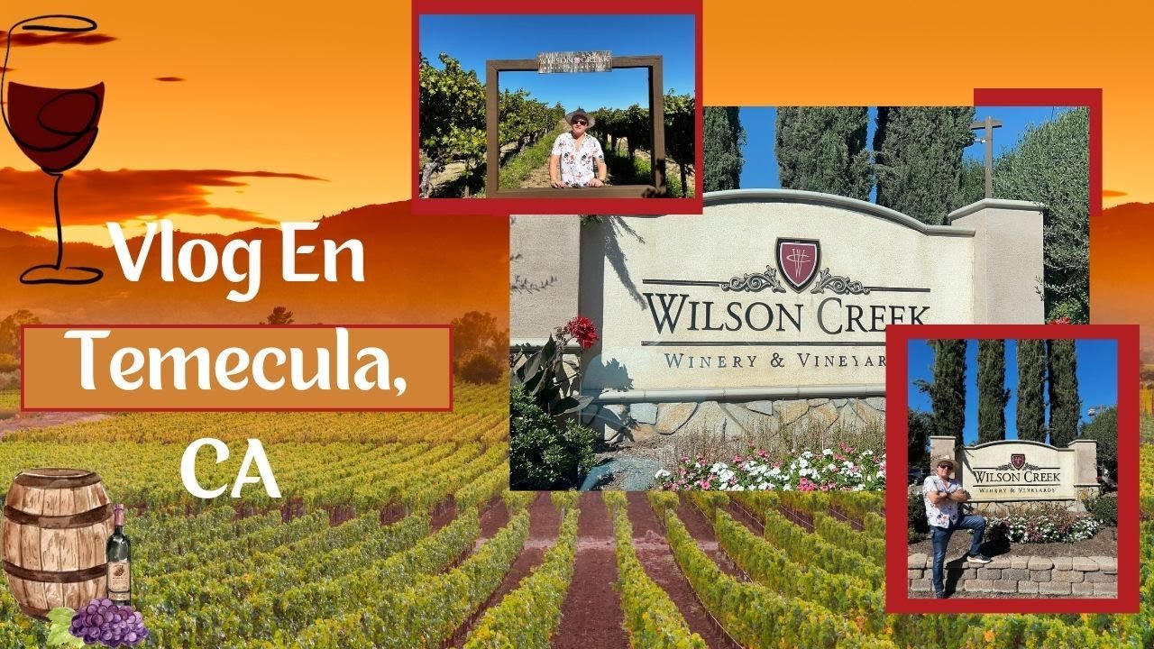 Un Domingo En Los Viñedos De Temecula , CA !