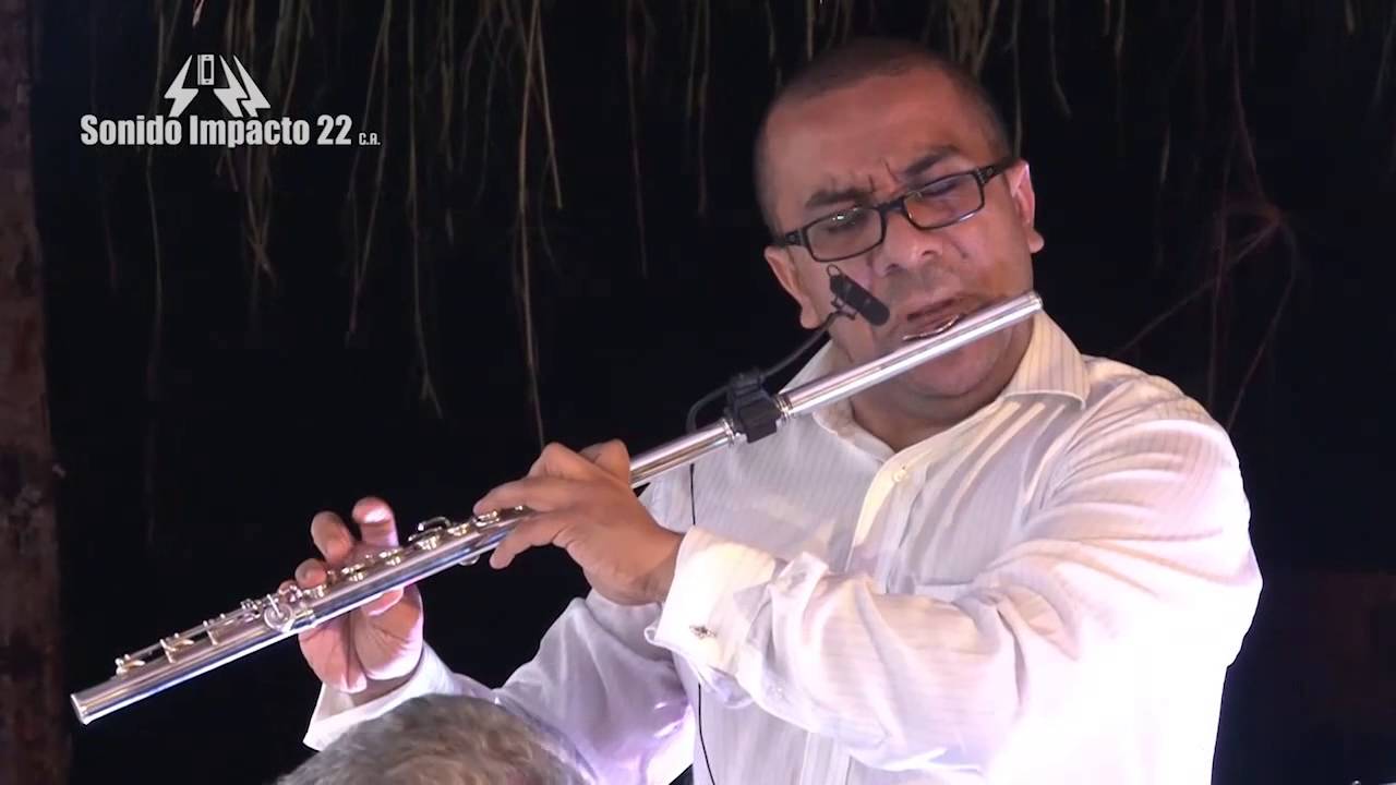 Ensamble Gurrufio El vuelo de la mosca