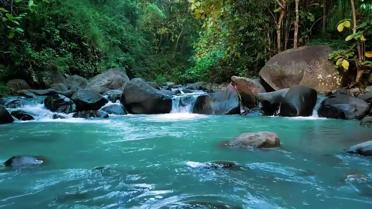 Calming River Flow for Sleeping & Studying Gentle Stream ASMR Sound