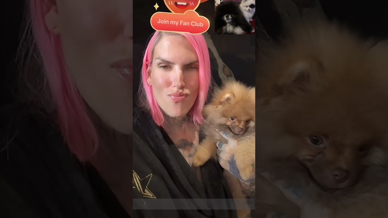 Джеффри наслаждается общением со своими померанскими шпицами… 