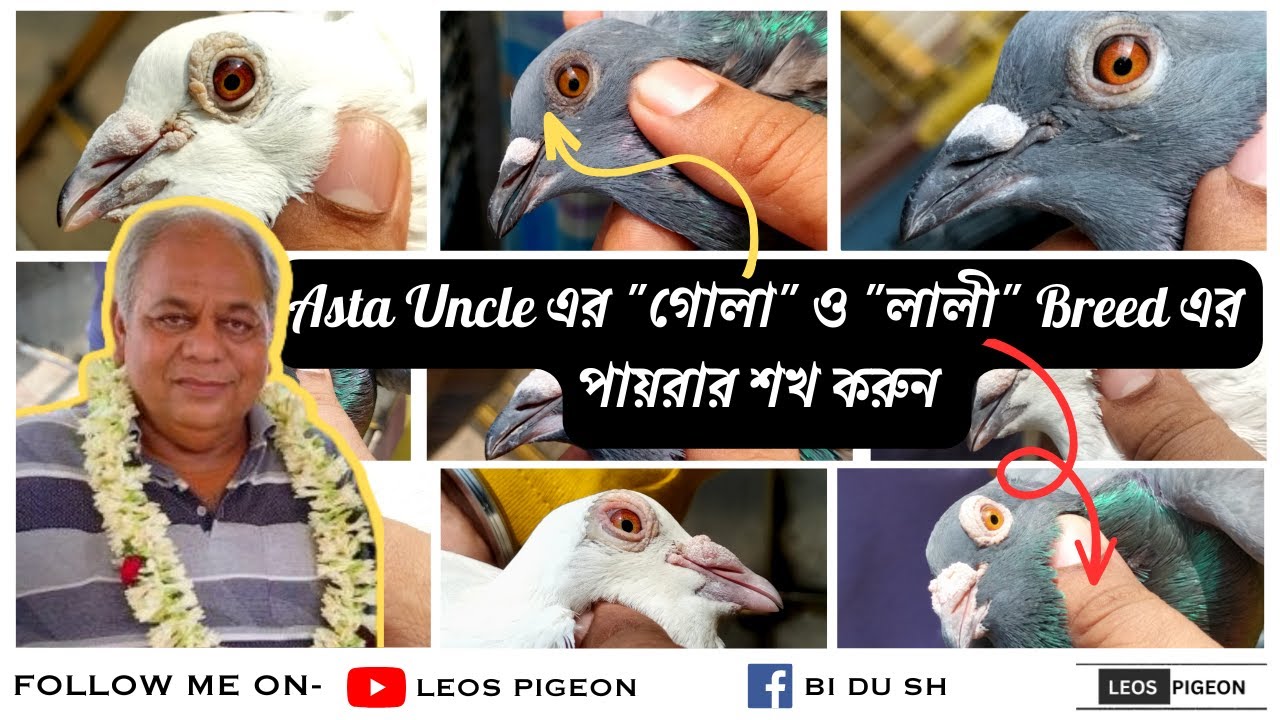 Asta Uncle এর 