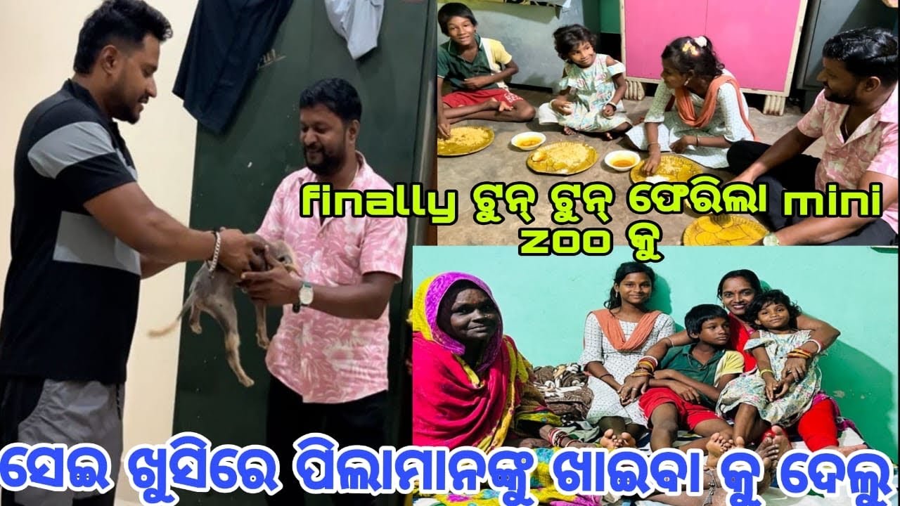 finally ଟୁନ୍ ଟୁନ୍ ଫେରିଲା mini zoo  କୁ ସେଇ ଖୁସିରେ ପିଲାମାନଙ୍କୁ ଖାଇବା କୁ ଦେଲୁ || 