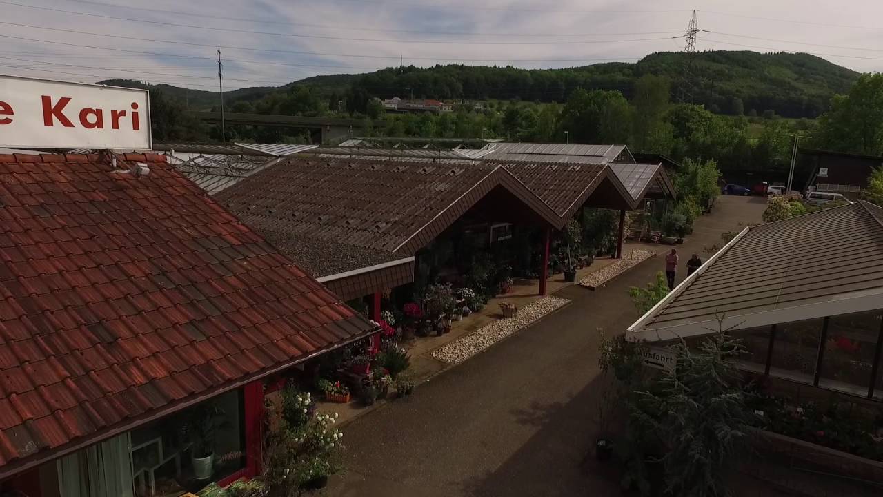 Gartencenter Zeiningen #4