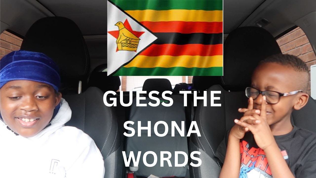 Guess The Shona Words Against My 8 Year Old Brother | It's Nashe Family