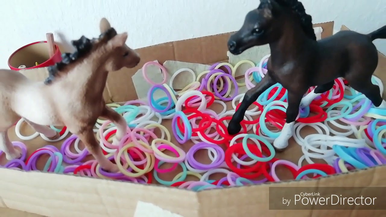 Fohlen wg Staffel 1 folge 1