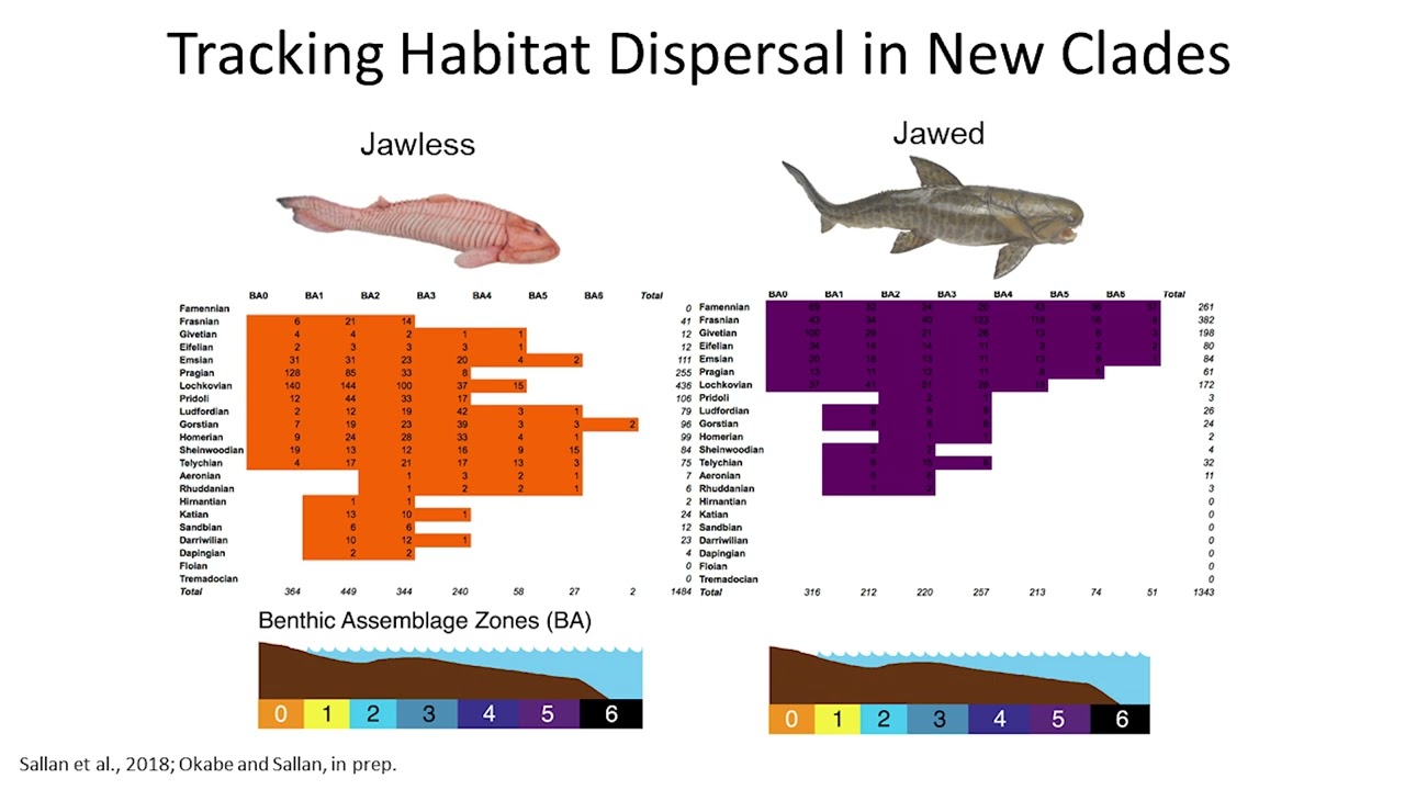 Mapping out the biodiversity of fishes from the earliest fossils to modern-day Okinawa - L. Sallan