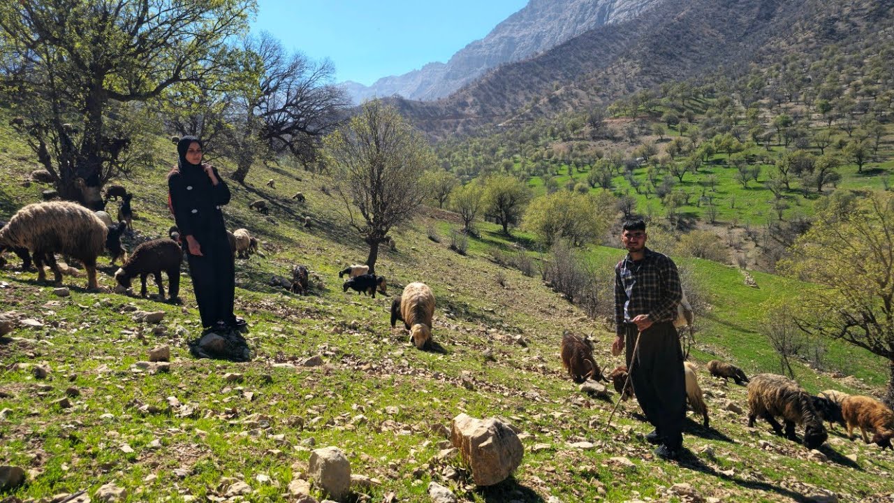🌄IRAN nomadic life: ⛰️Daily routine village life of Iran | Nomadic lifestyle of Iran 🐑