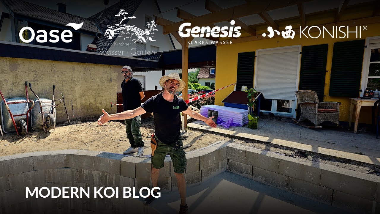 Modern Koi Blog #6063 - Ein sehr vielversprechende Koibaustelle