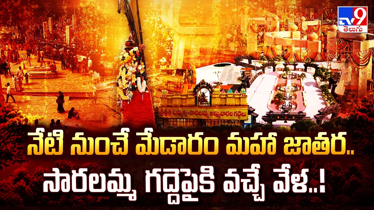 నేటి నుంచే మేడారం మహా జాతర.. సారలమ్మ గద్దెపైకి వచ్చే వేళ..! | Sammakka Saralamma Jatara - TV9