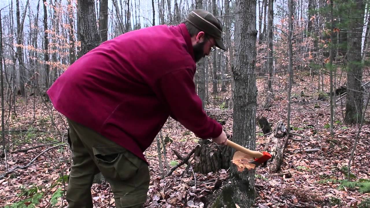 Safe Camp Axe Use Felling Large Trees With A Felling Notch.