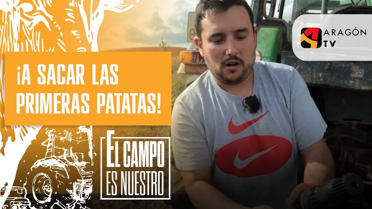 ¡A sacar las primeras patatas!