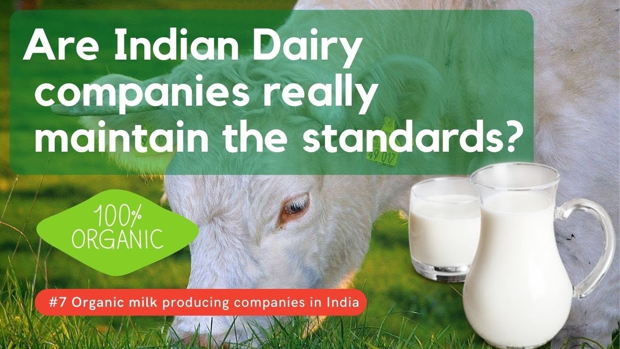Know about 7 most popular Organic Dairy companies in India | Organic Milk
