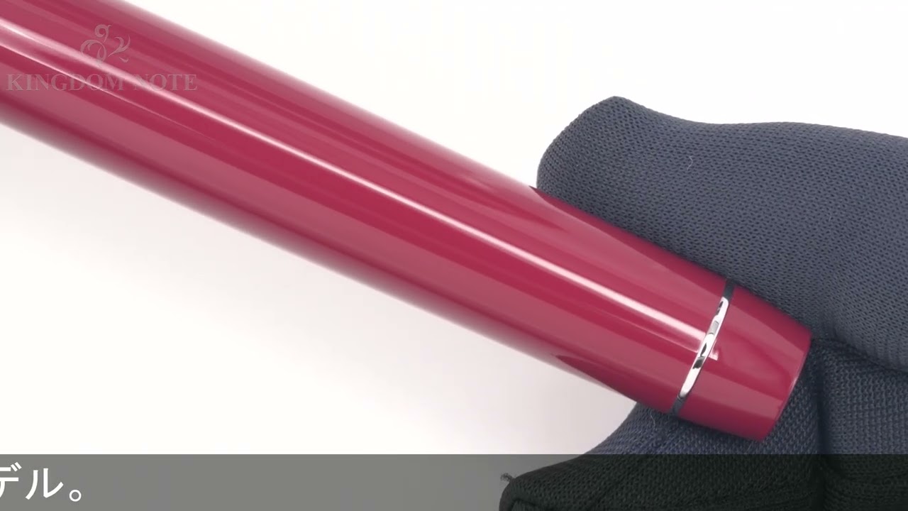 PILOT パイロット 万年筆 カスタム ヘリテイジ91 ヤマブドウ 中細字