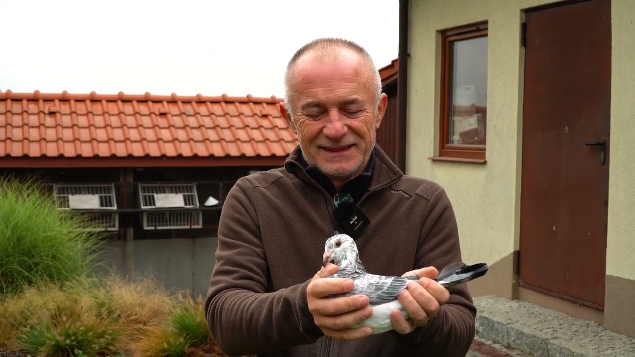 PL-0466-24-415 / PL-0466-24-412 ludzki gest