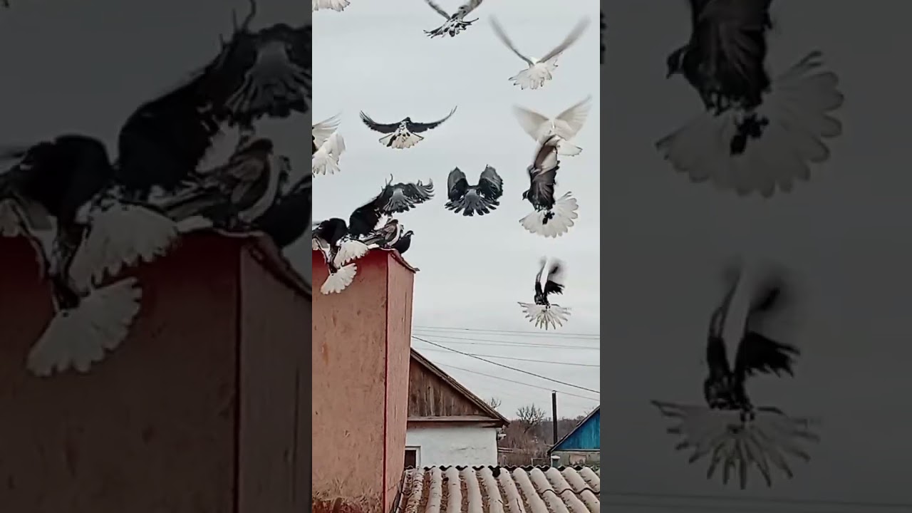 Прогулка.