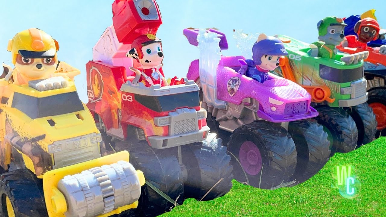 Can YOU Help our Paw Patrol on Their Water Rescue Mission & Super Loop Stunt!
