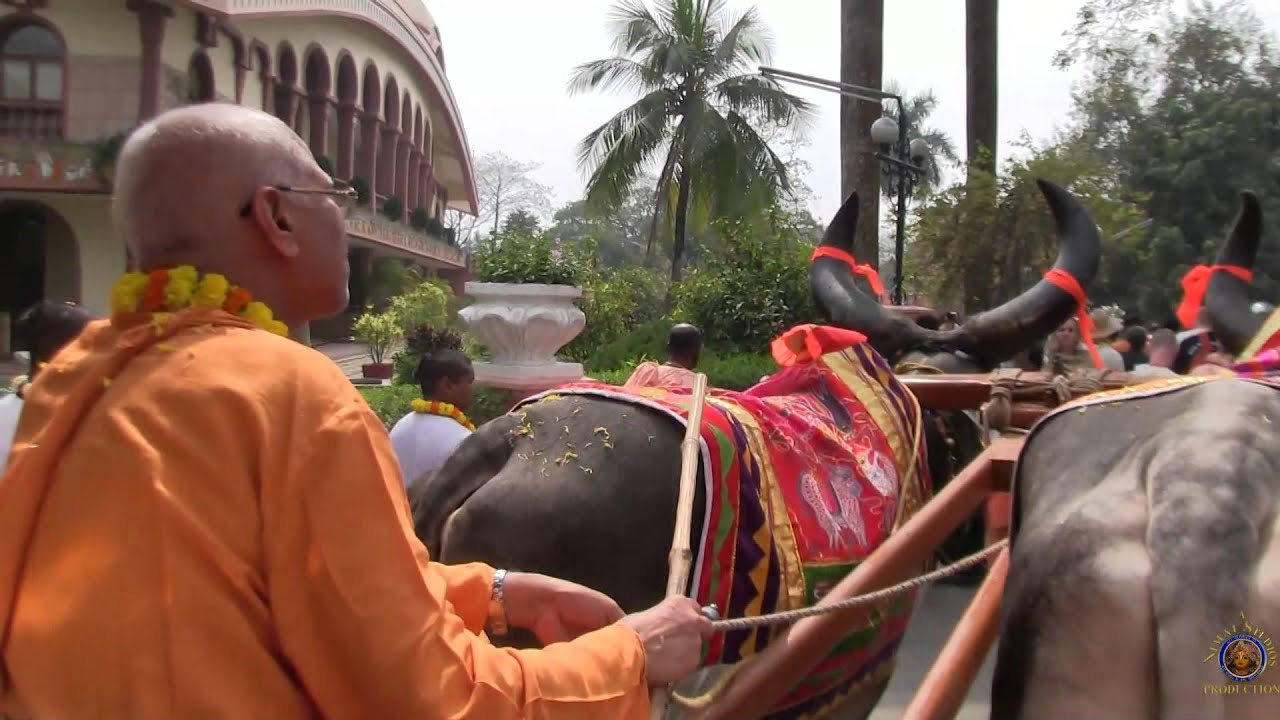 2014 Mayapur Festival - Padyatra all India circuit returns to Mayapur.