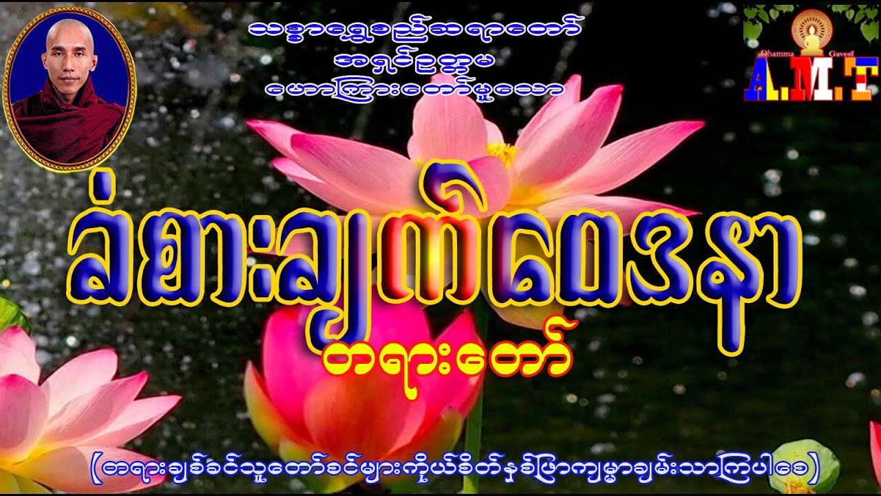 ခံစားချက်ဝေဒနာ သစ္စာရွှေစည်ဆရာတော် အရှင်ဥတ္တမ