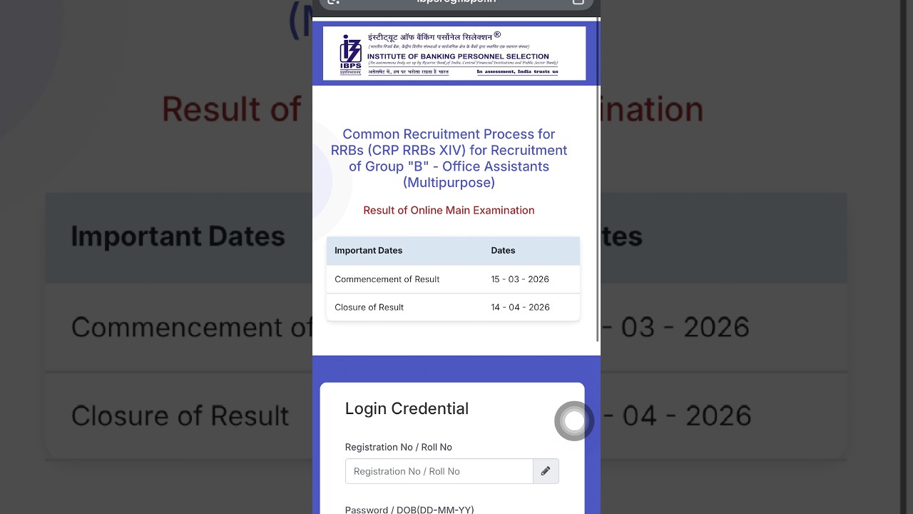 ✅Ibps Rrb Clerk Mains Result out 2025 👍Ibps rrb clerk mains result| Ibps rrb office assistant mains