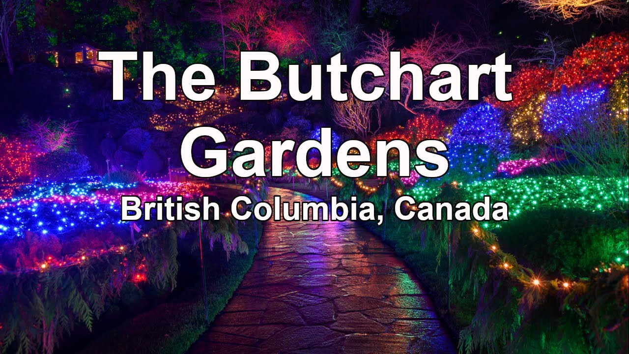 The Butchart Gardens in Winter Lights: Walking Tour