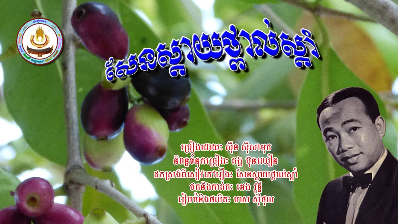 ០១៨៨. សែនស្តាយថ្ពាល់ស្តាំ ច្រៀងដោយៈ ស៊ីន ស៊ីសាមុត