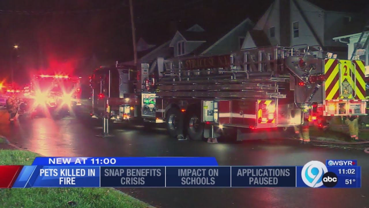 2 dogs rescued, one person sent to hospital after Syracuse house fire